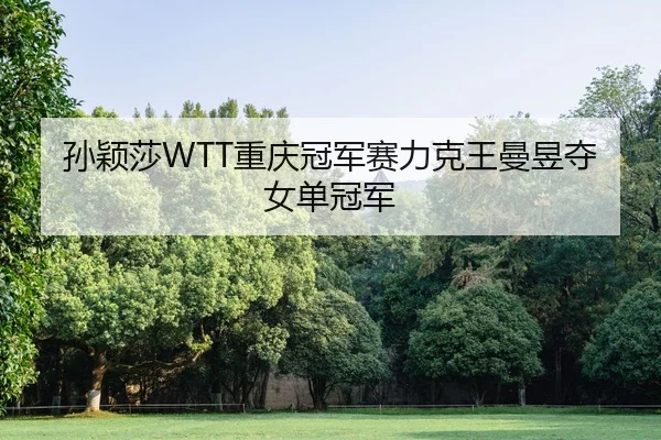 孙颖莎WTT重庆冠军赛力克王曼昱夺女单冠军