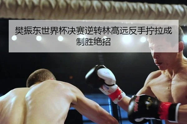 樊振东世界杯决赛逆转林高远反手拧拉成制胜绝招